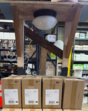 Ceiling-Mounted Light