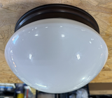 Ceiling-Mounted Light